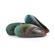 Green Lipped Mussel Powder vs Oil For Dogs and Cats