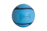 Chuckit Sniff Fetch Ball Bacon Medium 1pk Dog Toy