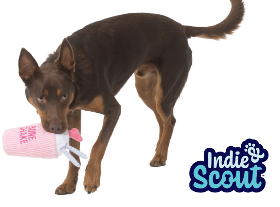 Toy Indie & Scout Plush Shake Toy