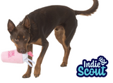 Toy Indie & Scout Plush Shake Toy