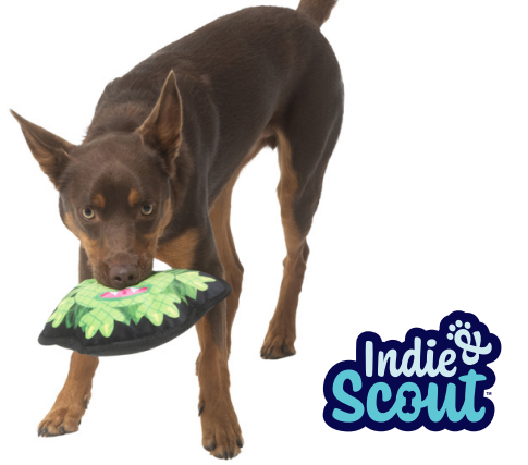 Toy Indie & Scout Tough Monster Toy Green
