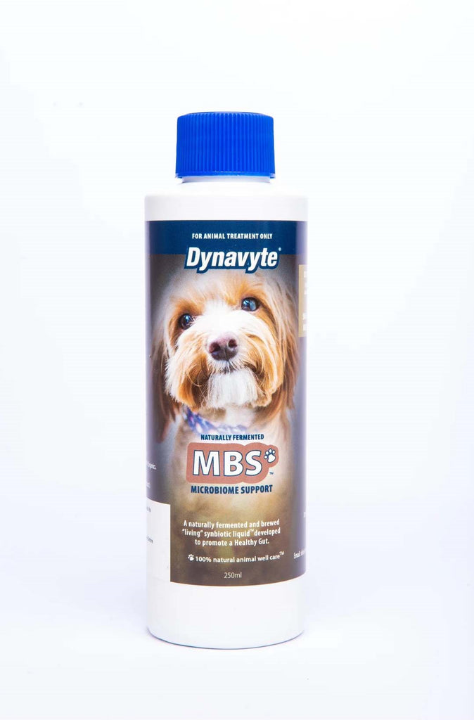 Dynavyte Probiotic Dog 250ml