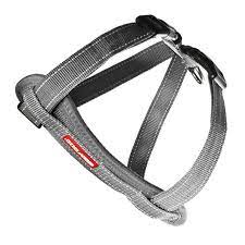 EzyDog Chest Plate Dog Harness Medium Grey