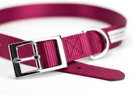 Avenue Dog Collar with Buckle Magenta