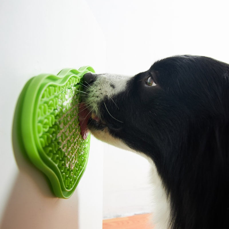 Paw 2-IN-1 Slow Feeder & Lick Pad Orange