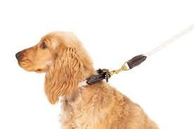 Collar Mog & Bone Rope & Leather Natural Sm