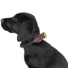 Collar Mog & Bone Rope & Leather Navy Sm