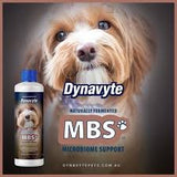 Dynavyte Probiotic Dog 250ml
