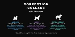 Huskimo TrekPro Dog Collar Daintree