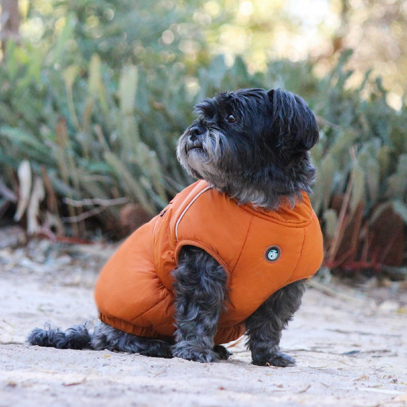 Coat Huskimo Cardrona Moss 27cm