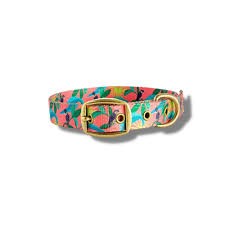 Anipal Recycled Dog Collar Clancy The Cockatoo