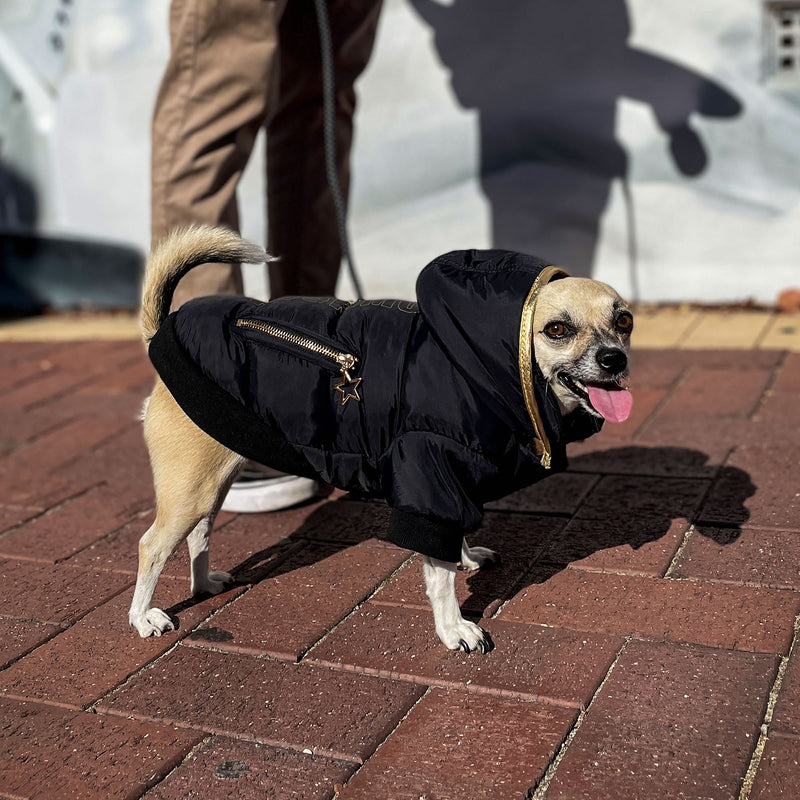 Huskimo Gangsta Dog Jacket
