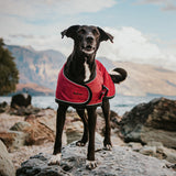 Huskimo Summit Dog Jacket Uluru