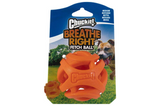 Chuckit Air Fetch Ball Dog Toy