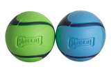 Toy Chuckit Sniff Fetch Ball Duo Med 2pk