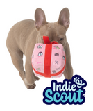 Toy Indie & Scout Plush Gift Toy