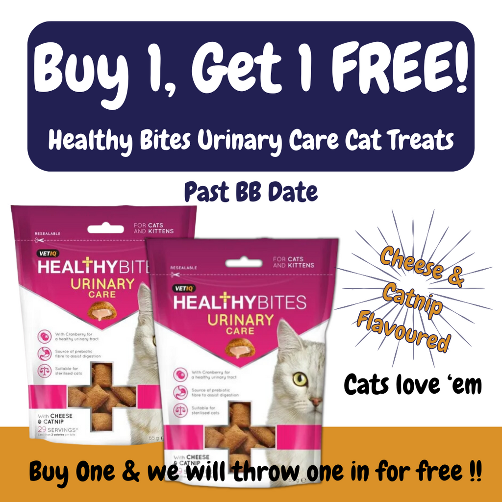 Vet IQ Healthy Bites Urinary Care Cat Treats 65g Feed My Pet NZ