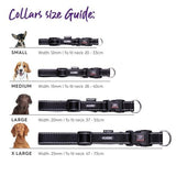 Kazoo Adjustable Dog Collar Aqua/Purple
