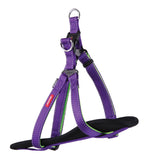 Kazoo Active Dog Harness Purple/Lime