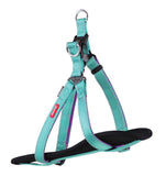 Kazoo Active Dog Harness Aqua/Purple