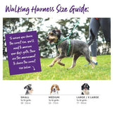 Kazoo Active Dog Harness Aqua/Purple