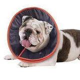 Kazoo Comfy Dog Vet Collar