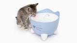 Catit Pixi Drinking Fountain Light Blue