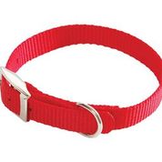 Avenue Dog Collar with Buckle Red
